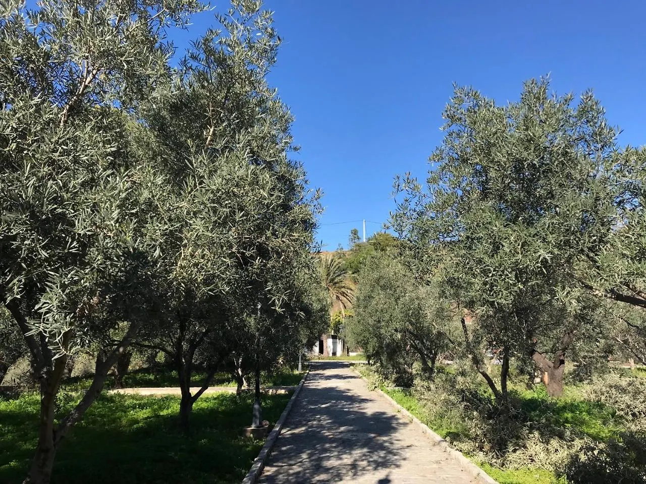 Orman Evi Alojamiento Con Encanto En Málaga